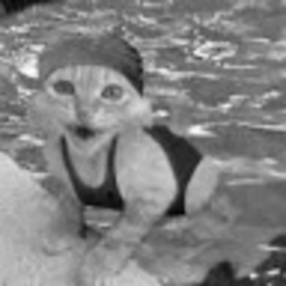 Meet your Posher, Jessie